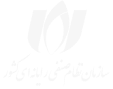 نظام صنفی رایانه‌ای کشور